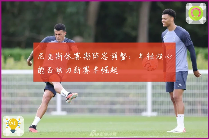 尼克斯休赛期阵容调整，年轻核心能否助力新赛季崛起